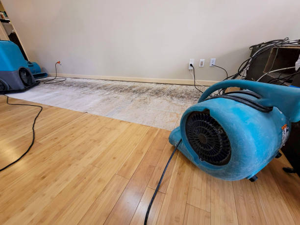 Professional Structural Drying technician working in Eden Prairie, MN